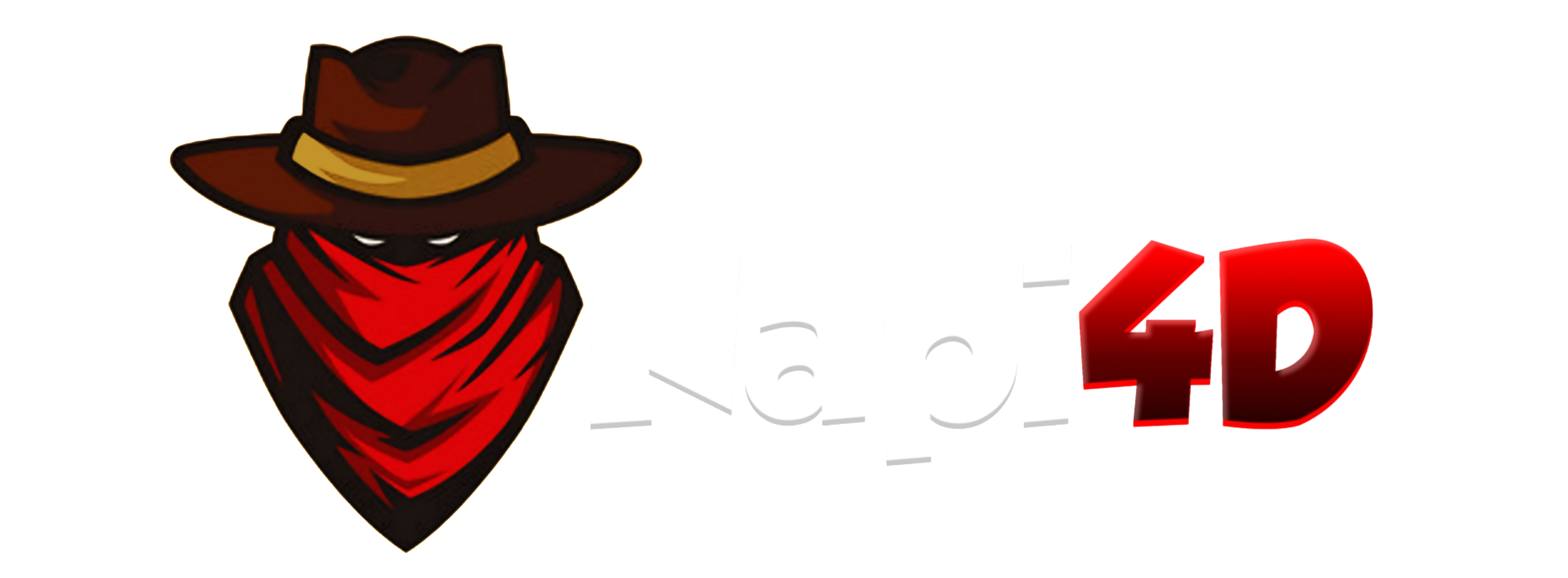 NAPI4D Logo